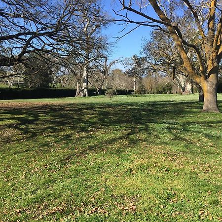 Collingrove Homestead Angaston Εξωτερικό φωτογραφία