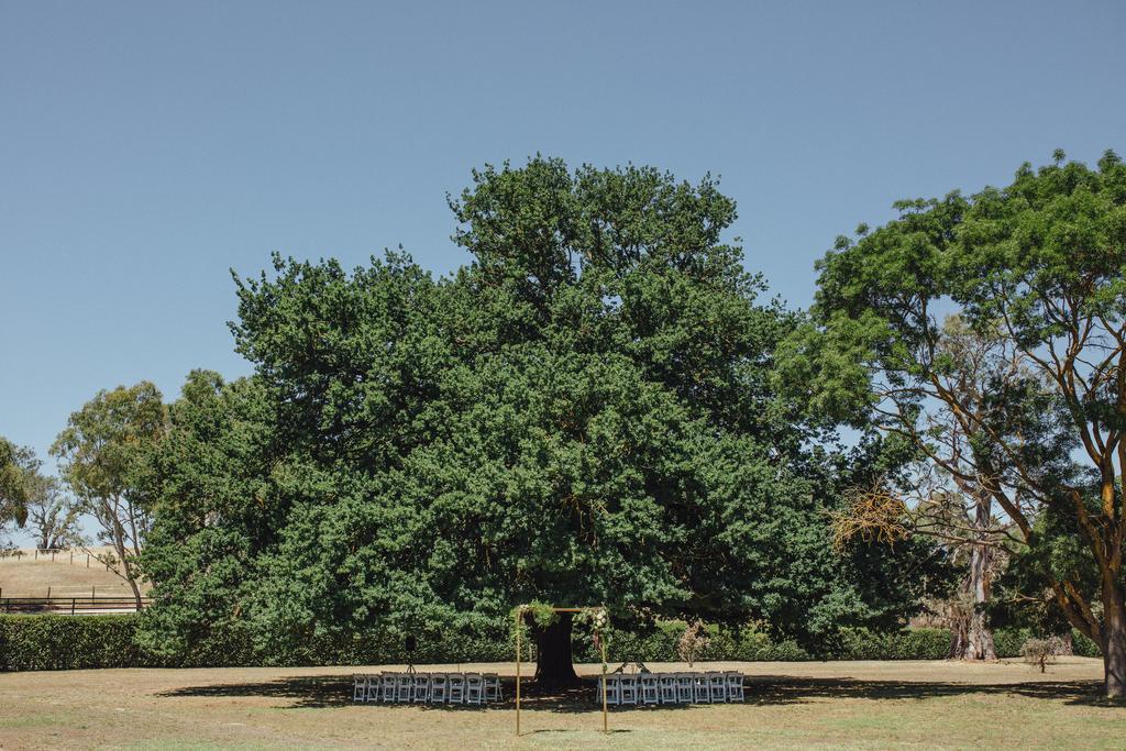 Collingrove Homestead Angaston Εξωτερικό φωτογραφία