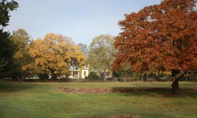 Collingrove Homestead Angaston Εξωτερικό φωτογραφία